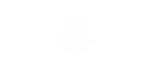 Bradesco Seguros