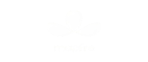 Mapfre